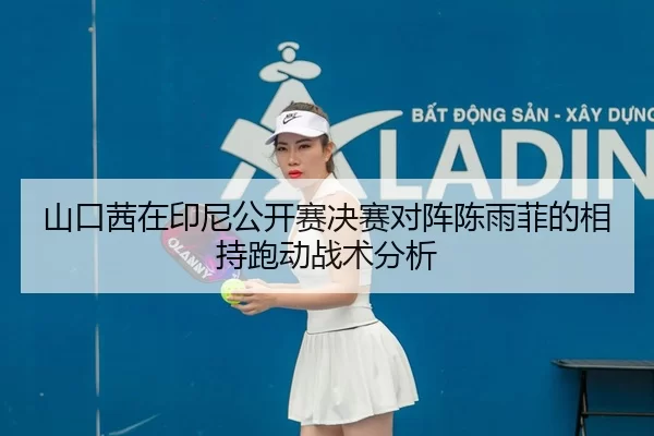 shan-kou-qian-zai-yin-ni-gong-kai-sai-jue-sai-dui-zhen-chen-yu-fei-de-xiang-chi-pao-dong-zhan-shu-fen-xi-2-406.jpg
